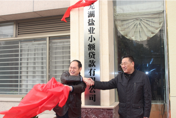 芜湖威客电竞小额贷款有限公司12月26日举行开业庆典