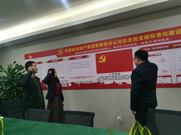 安徽威客电竞地产集团机关第一党支部开展“佩党徽、诵誓词、赠党章、上党课”党员教育活动
