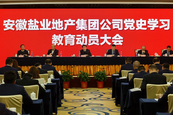 安徽威客电竞地产集团公司召开党史学习教育发动大会