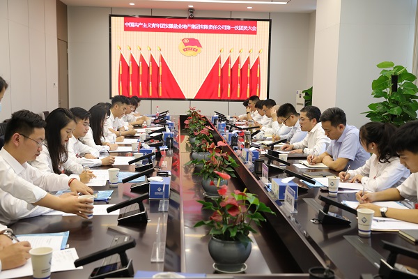 青春向党传薪火 踔厉高昂新时代——安徽威客电竞地产集团团支部建设大会暨团员大会胜利召开